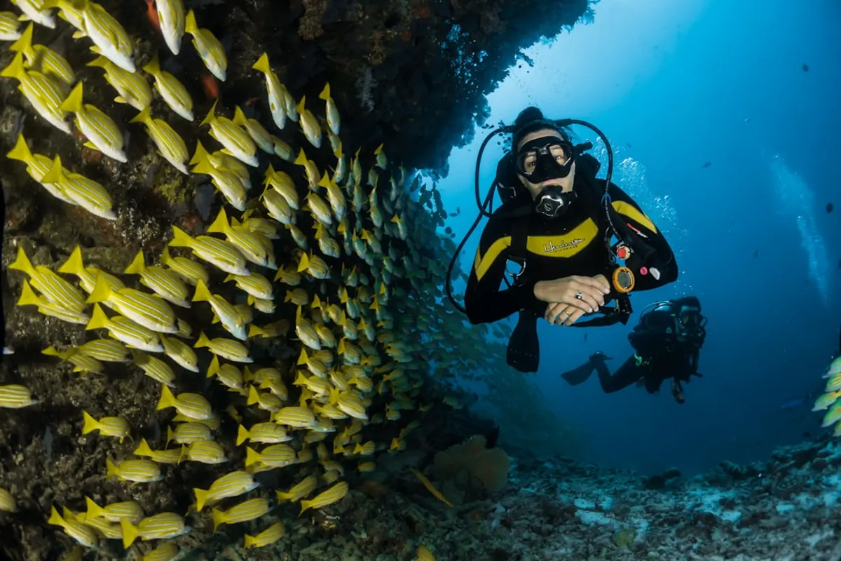 Best Time for Floresdiving - Insider Guide