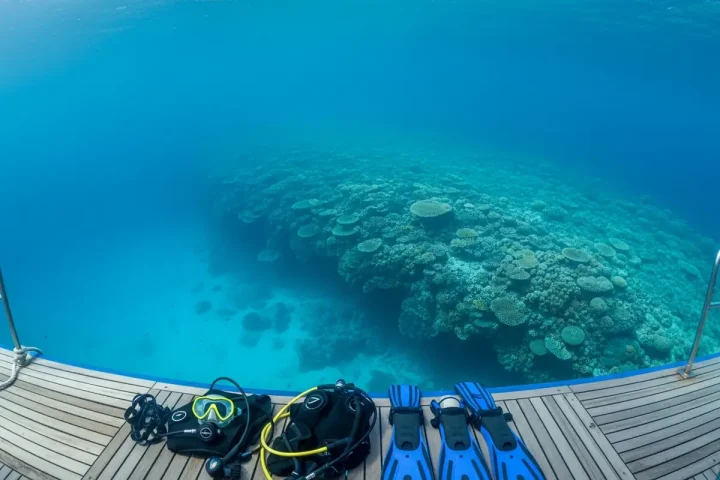 Learning to Dive in Flores: PADI Courses for 2027
