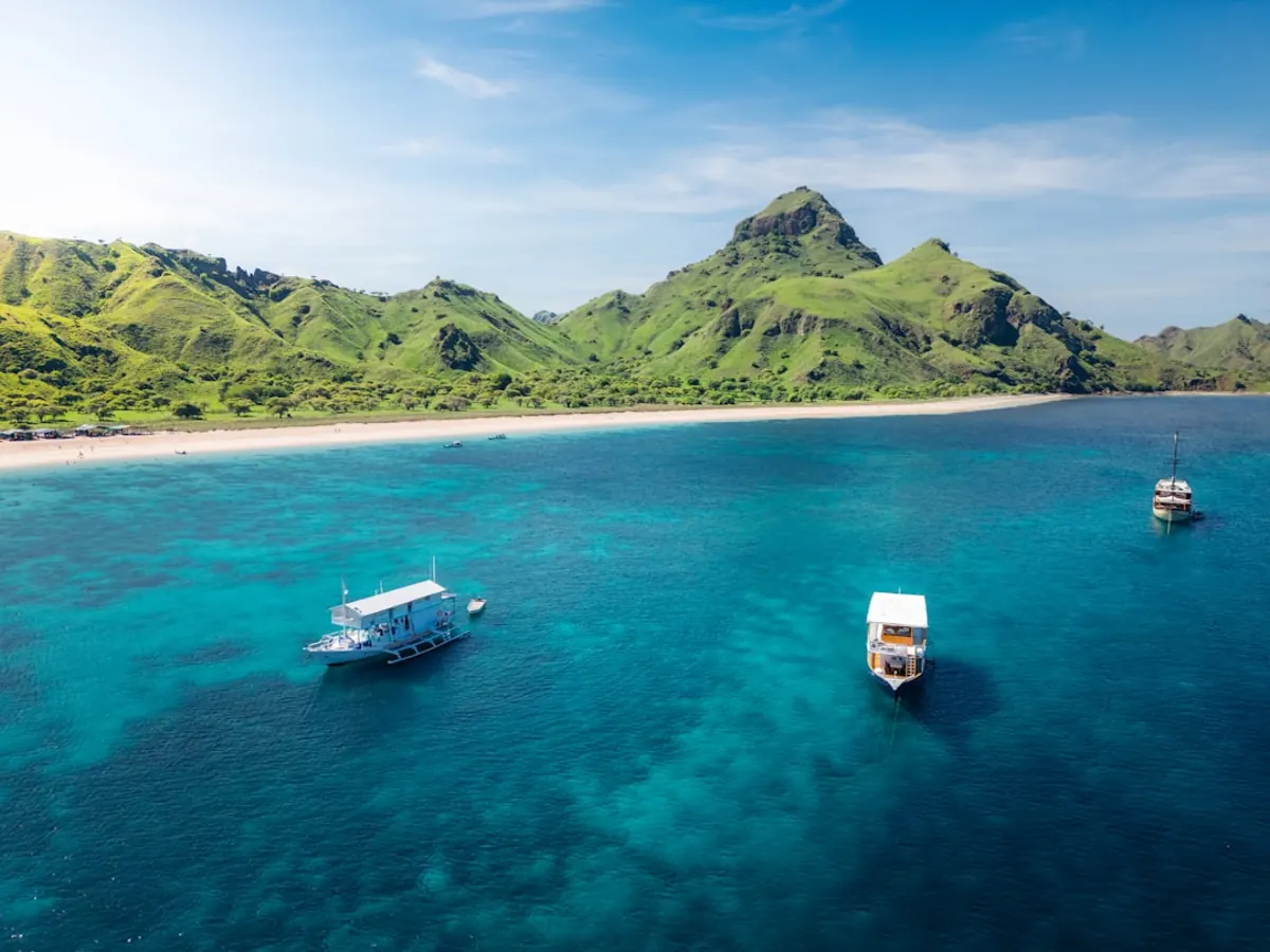 Maumere diving guide to north‑central Flores
